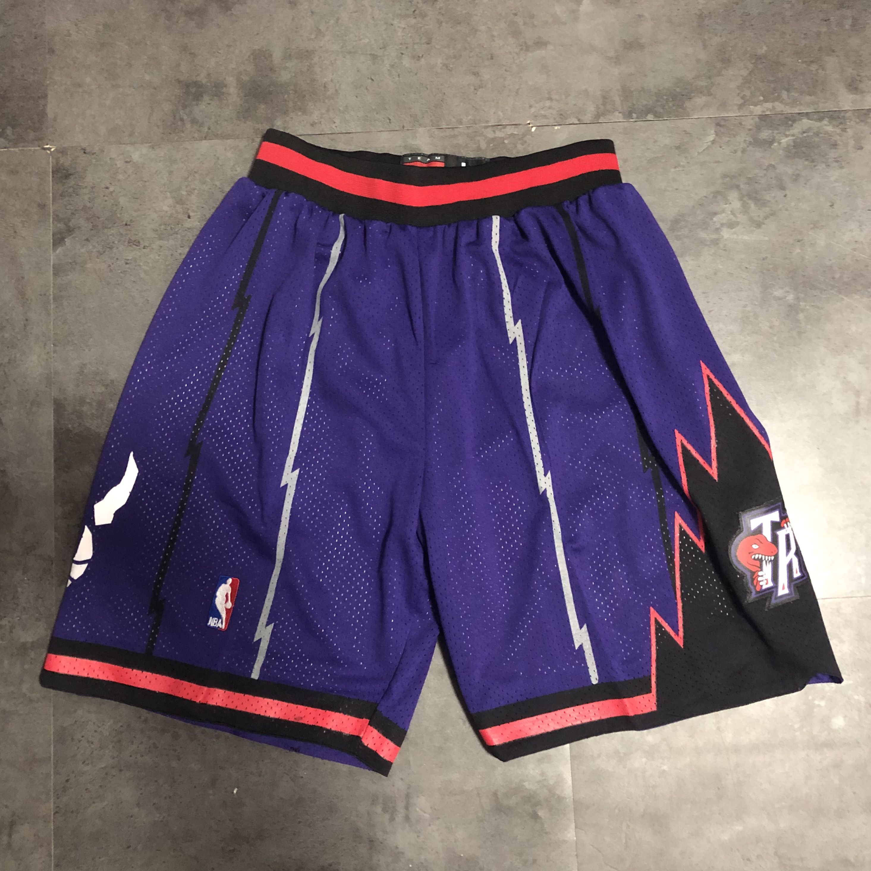 Men NBA Toronto Raptors Purple Shorts 04162->toronto raptors->NBA Jersey